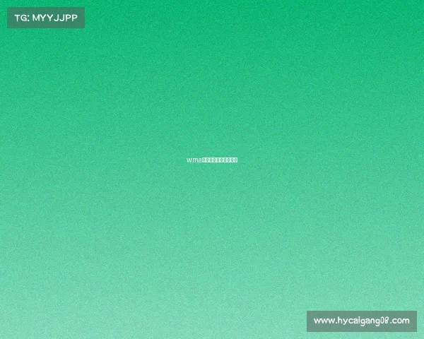 wma中国武术职业联赛比赛